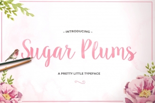 Sugar Plums Script + Doodles Font Download