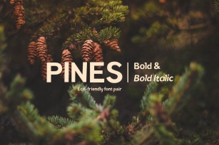 Pines Bold & Pines Bold Italic Font Download