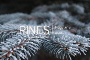 Pines Regular & Pines Italic Font Download
