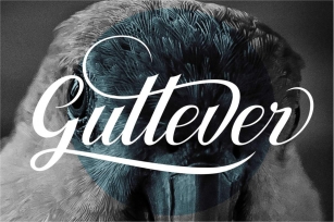 Gullever Font Font Download