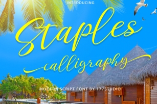 Staples Calligraphy Font Download
