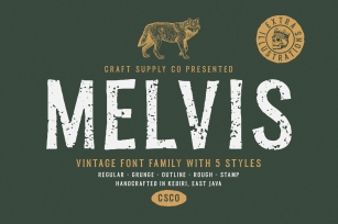 Melvis - Vintage Font Family Extras Font Download