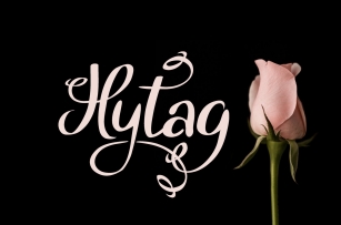 Hytag font Font Download