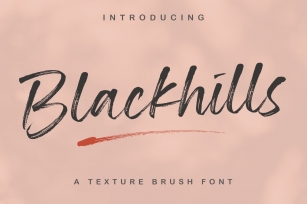 Blackhills - Brush Fonts Font Download