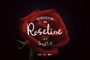Roseline Script Font Font Download