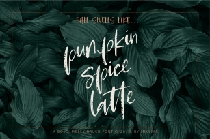 Pumpkin Spice Latte | Brush Script Font Download