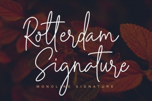 Docherty - Casual Signature Font Font Download