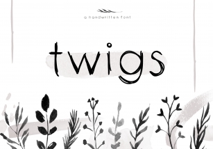 Twigs - A Handwritten Scribble Font Font Download