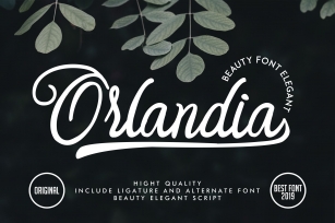 Orlandia | Beauty Font Elegant Font Download