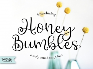Honey Bumbles, a curly, round script font Font Download