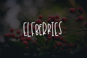 Elfberries Font Download