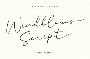 Windblows Script Typeface Font Download
