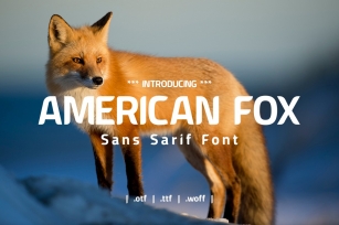American Fox Font Font Download