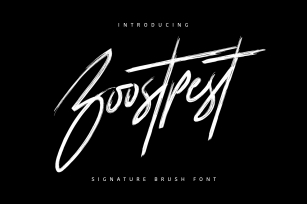 Boostpest Signature Brush Font Font Download