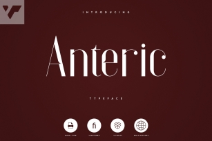 Anteric - Typeface | 3 weights Font Download