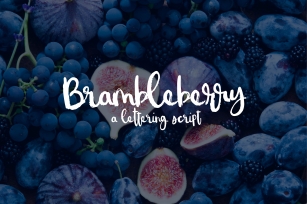 Brambleberry - A Lettering Script Font Download