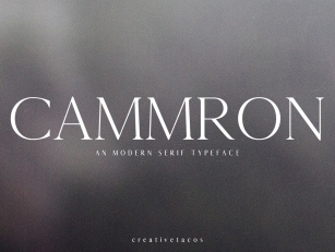 Cammron Serif Font Family Font Download