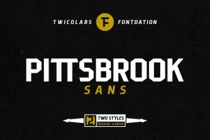 Pittsbrook Sans | 4 Fonts Font Download