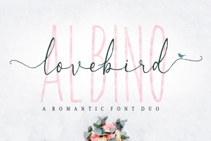 Albino Lovebird - Font Duo Font Download
