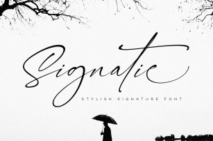 Signatie | Stylish Signature Font Font Download