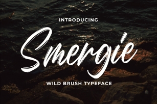Smergie - Wild Brush Typeface Font Download