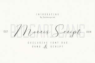 Morris Script | Font Duo Font Download
