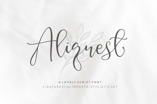 Aliquest Script Font Font Download