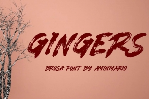 GINGERS Font Download