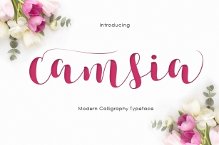 Camsia Font Download