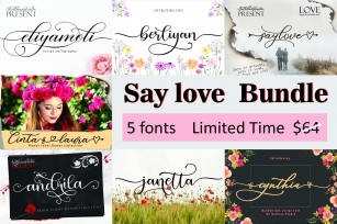 Say Love Bundle Font Download