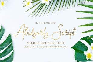 Abidzarly Script Font Download