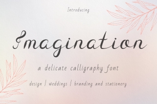 Imagination Calligraphy Font Font Download