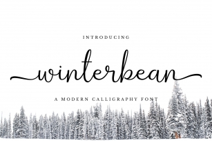 Winterbean Font Download