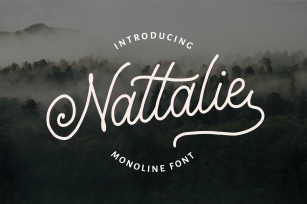 Nattalie Monoline Font Font Download