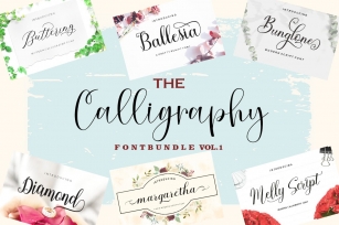 The Calligraphy Font Bundle Font Download