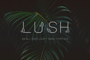 Lush Sans Typeface Font Download