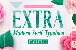 EXTRA Serif Font Font Download