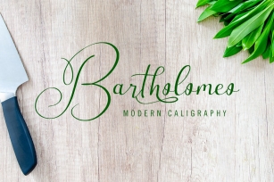 Bartholomeo - Modern Calligraphy Font Download