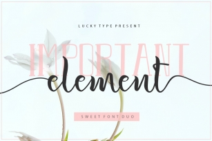 Important Element Font Duo Font Download