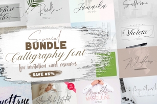 Special Bundle Calligraphy Font Download