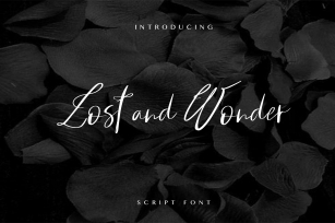 LOST AND WONDER SCRIPT FONT Font Download
