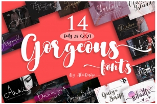 Gorgeous Bundle - 14 Fonts in 1 Pack Font Download