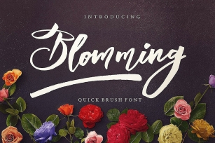 Blomming - Brush Font Font Download