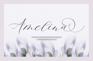 Amelina Script Font Download