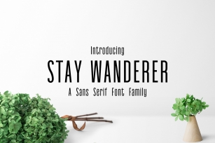 Stay Wanderer 3 Font Family Pack Font Download