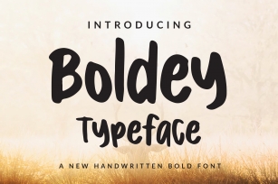 Boldey Typeace - A New Handwritten Bold Font Font Download