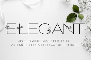 Elegant - A sans serif font decorated with florals Font Download
