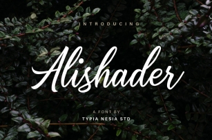 Alishader Font Download