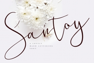 Santoy | Hand Lettering Font Font Download