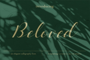 Beloved Typeface Font Download